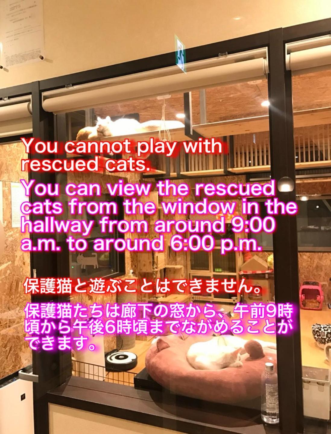 Nekokura Hostel *